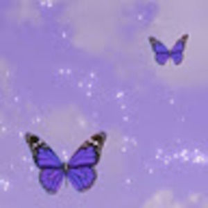 Meet your Posher, Joy